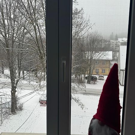 Lv Luxury Apart - One Minute Away From Train Station Predeal Zewnętrze zdjęcie