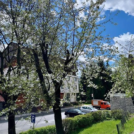 Lv Luxury Apart - One Minute Away From Train Station Predeal Zewnętrze zdjęcie