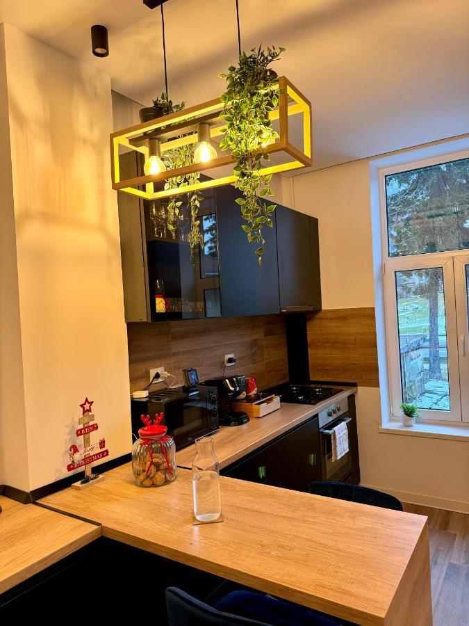 Lv Luxury Apart - One Minute Away From Train Station Predeal Zewnętrze zdjęcie