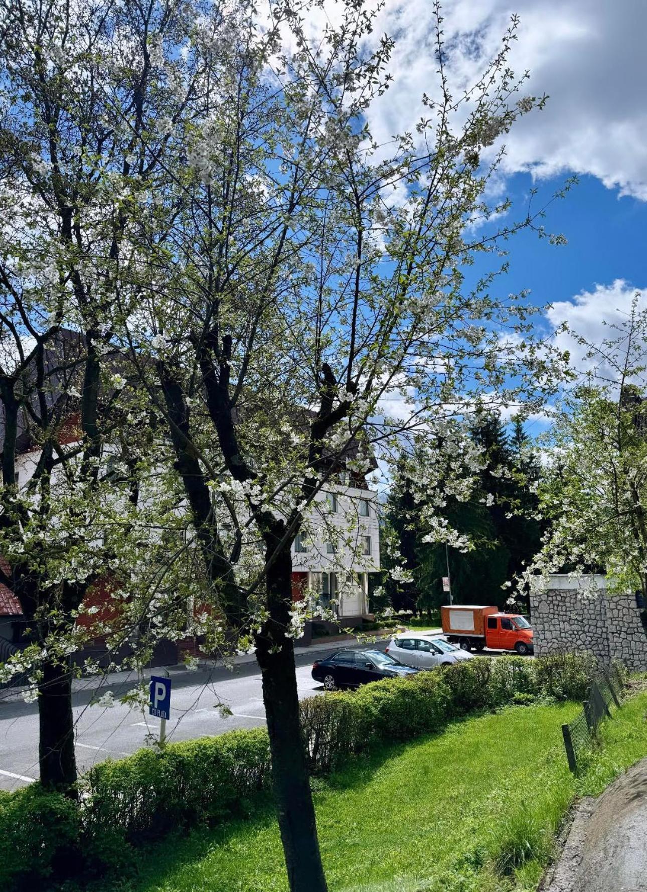 Lv Luxury Apart - One Minute Away From Train Station Predeal Zewnętrze zdjęcie